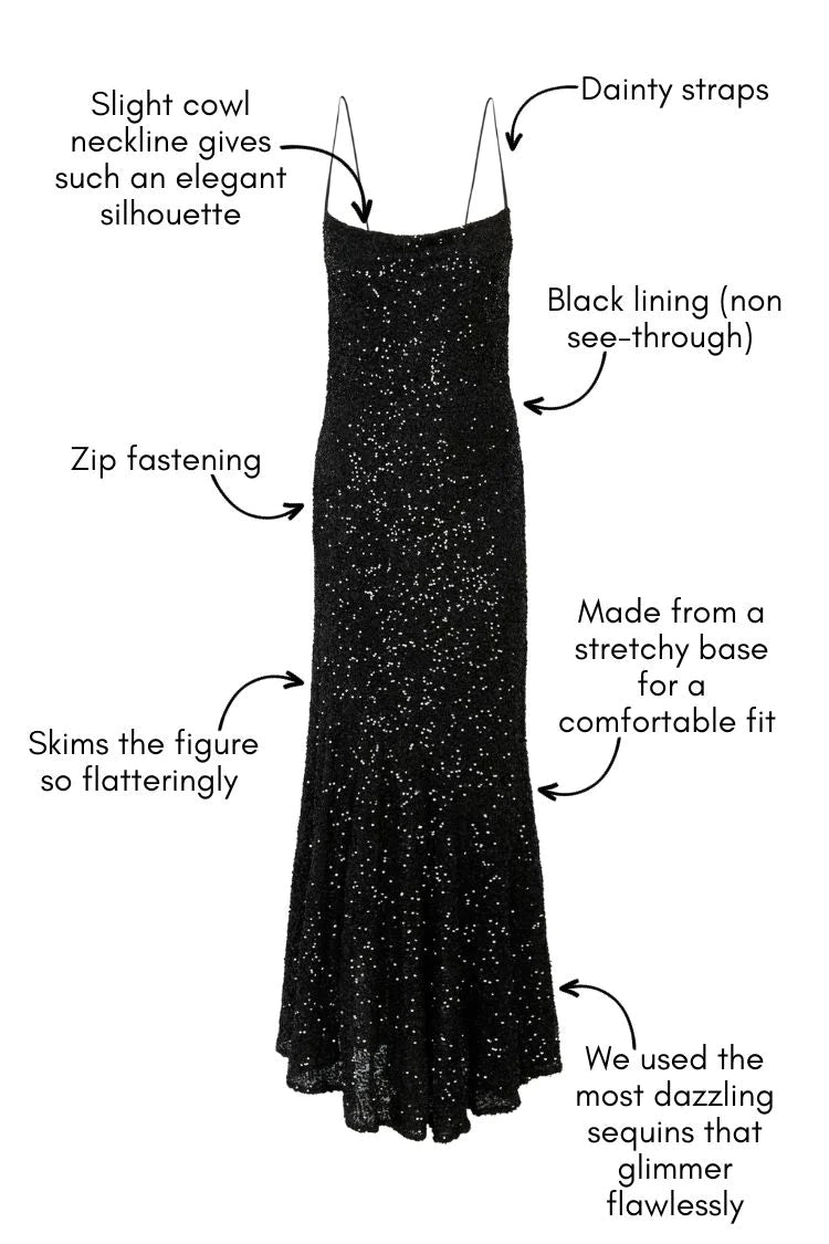 Starlight Shimmer Dress